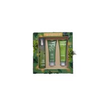 CAUDALIE VINOPERFECT TONO CLARO