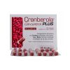 CRANBEROLA CISCONTROL PLUS CON BREZO 60 CAPS