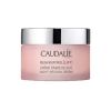 CAUDALIE VINOPERFECT FLUIDO DIA 40 ML SPF 15